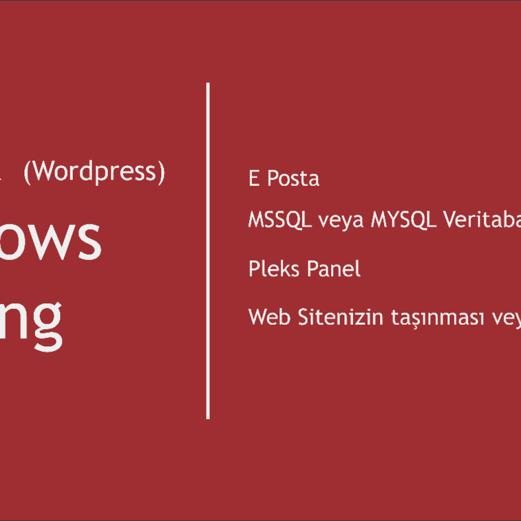 1187Linux ve Windows, kurumsal hosting tedarik edebilirim