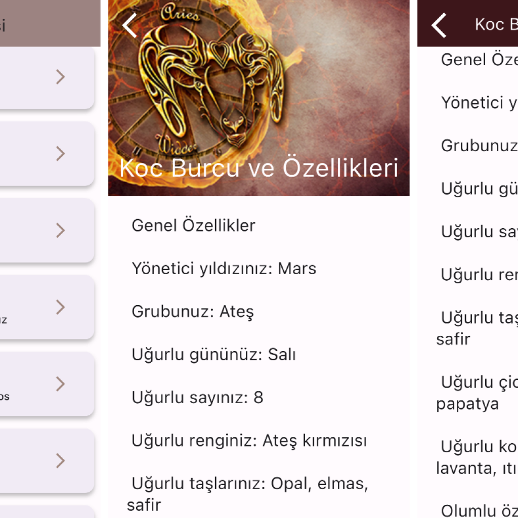 1532Anahtar teslim wordpress sitenizi kurarım