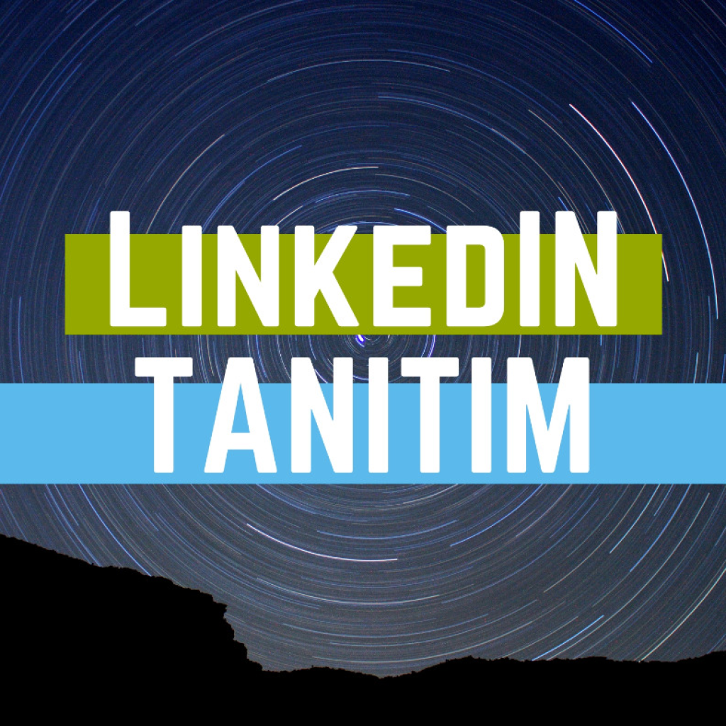 1828sitenize profesyonel seo paketini yapabilirim