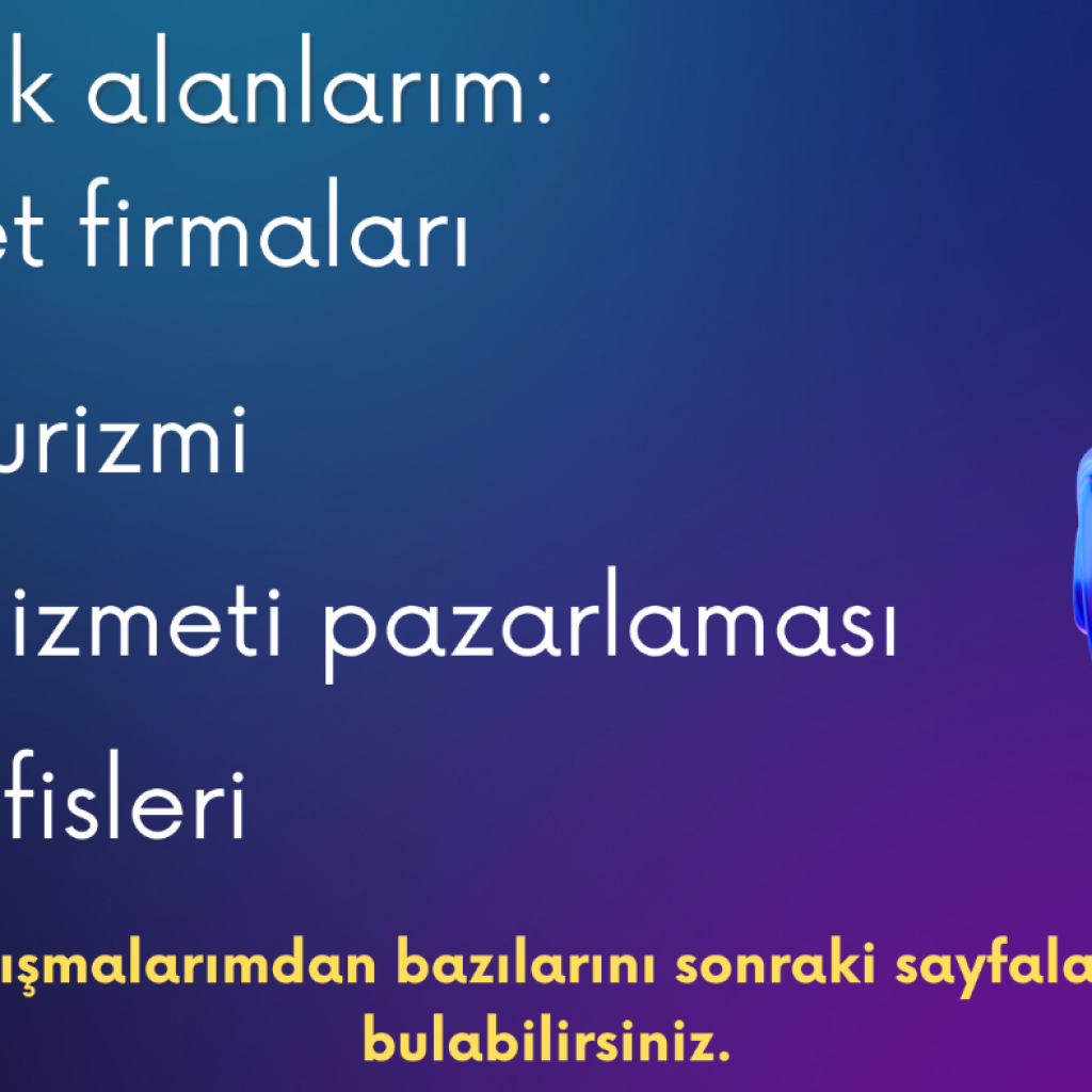 1830META reklamlarını stratejik olarak planlıyor ve uyguluyorum