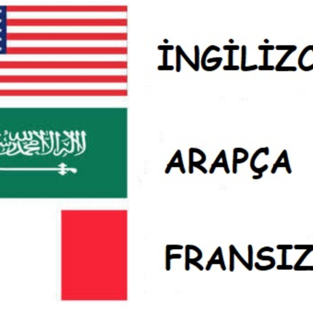 2325Arapça-İngilizce-Fransızca çeviriyi en hızlı şekilde yaparım